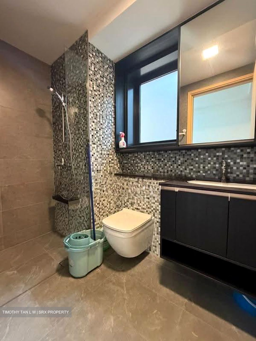 The Antares (D14), Apartment #614658671